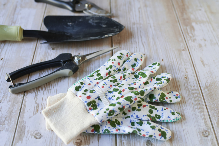 A pair of gloves, pliers, and a trowel for outdoor landscaping and gardening.