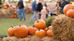 Pumpkins resting on hay bales at a fall festival as people walk by.