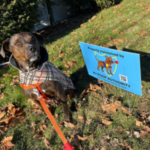 Dog in a yard next to a sign for NJ Poop Authority